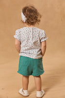 SET - MAPAULA
