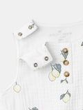SET - PONELLE
