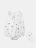 SET - PONELLE